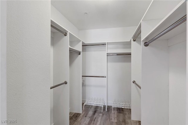 spacious closet featuring dark hardwood / wood-style flooring