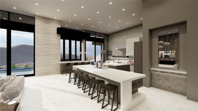 kitchen with sink, a kitchen island with sink, plenty of natural light, floor to ceiling windows, and a mountain view