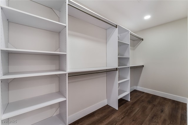 spacious closet featuring dark wood-type flooring