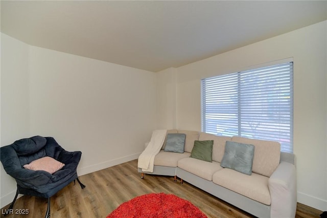 living room featuring wood-type flooring