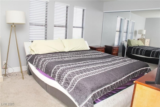 bedroom featuring carpet floors and a closet