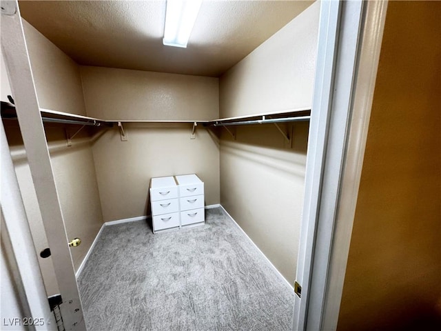 walk in closet with carpet