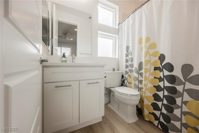 bathroom featuring vanity, wood-type flooring, and toilet