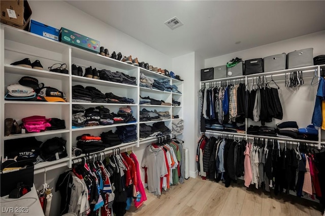 spacious closet with light wood-type flooring