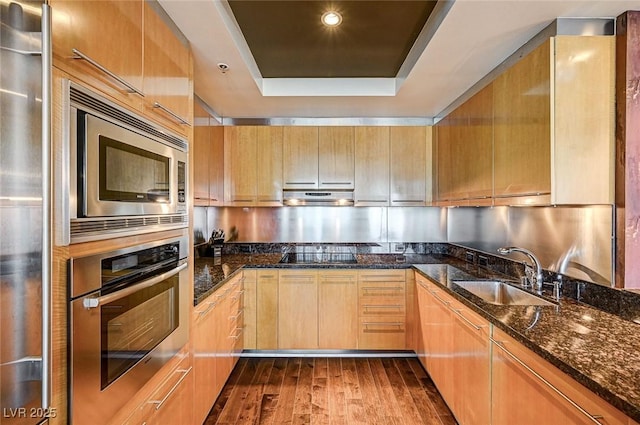 kitchen featuring sink, dark wood-type flooring, appliances with stainless steel finishes, dark stone countertops, and a tray ceiling