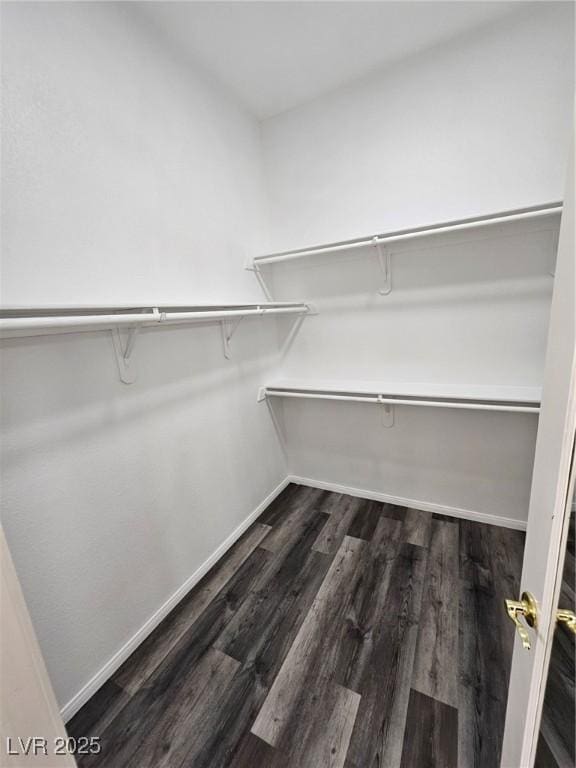 walk in closet featuring dark hardwood / wood-style flooring