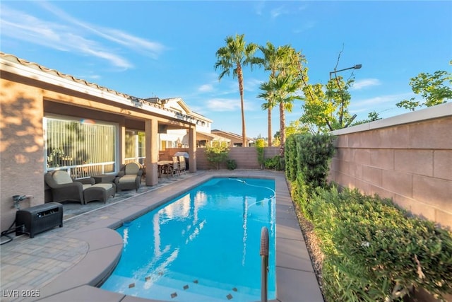 view of swimming pool with a patio