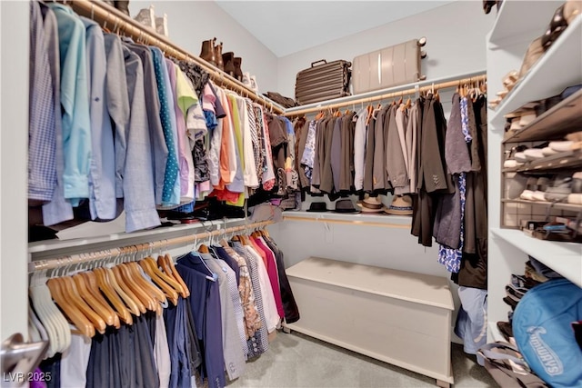 spacious closet with carpet flooring