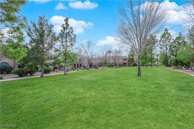 view of home's community with a yard