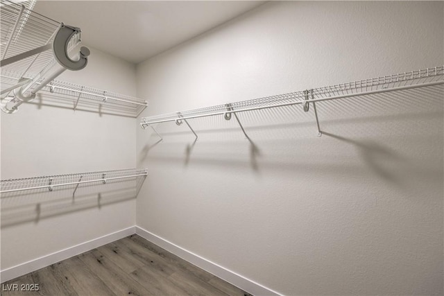 walk in closet featuring wood finished floors