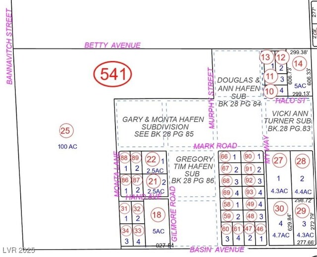 3751 W Betty Ave, Pahrump, NV 89060
