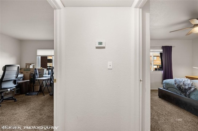 hallway featuring carpet flooring