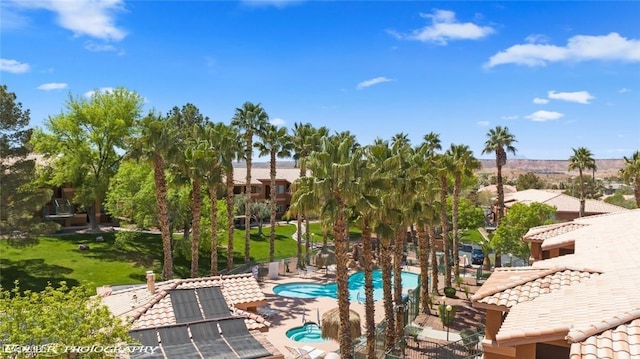 view of swimming pool featuring a patio area