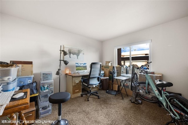 home office featuring carpet flooring