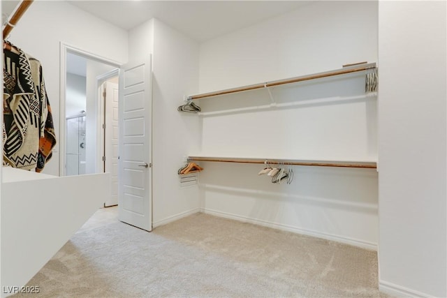 walk in closet with light colored carpet