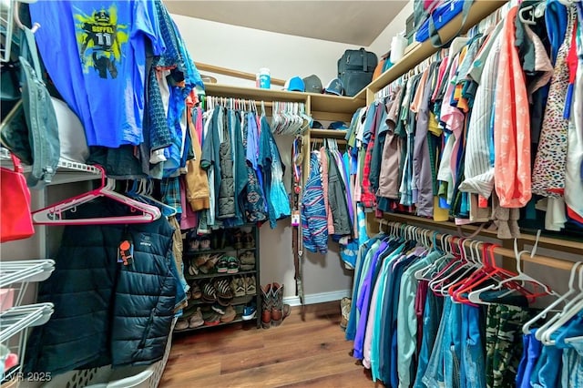 spacious closet featuring hardwood / wood-style flooring