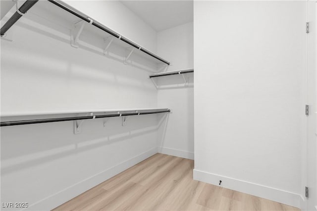 spacious closet featuring light hardwood / wood-style flooring