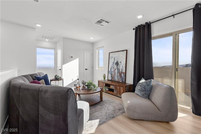 living room featuring light hardwood / wood-style floors and a healthy amount of sunlight