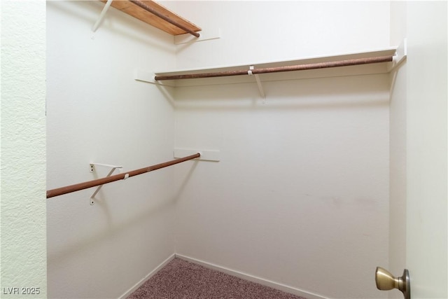 spacious closet with carpet