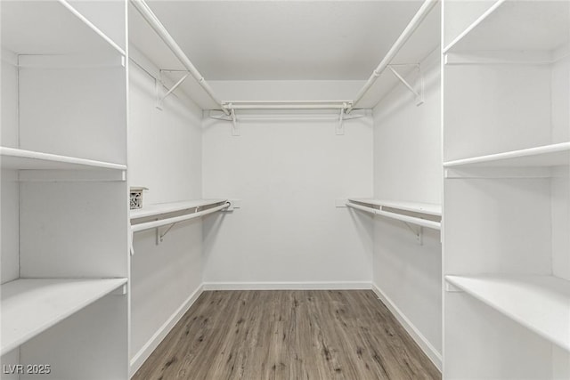 spacious closet with hardwood / wood-style floors