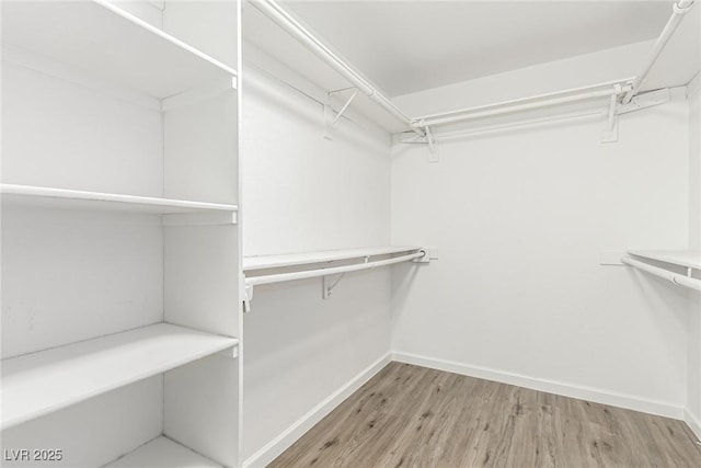 spacious closet with light wood-type flooring