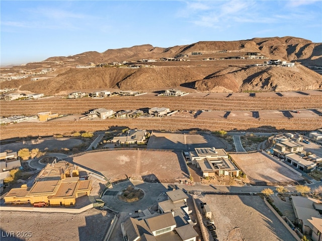 20 Sanctuary Peak Ct, Henderson, NV 89012 - photo 27