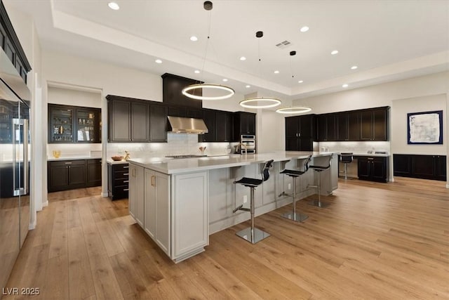 kitchen with pendant lighting, a raised ceiling, light hardwood / wood-style flooring, and a large island with sink