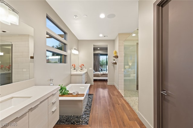 bathroom with walk in shower, vanity, and wood-type flooring