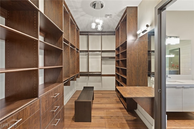 spacious closet with wood-type flooring and sink