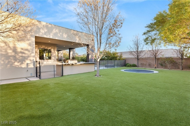 view of yard with an outdoor kitchen