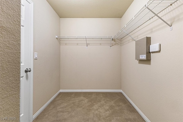 spacious closet with carpet and electric panel