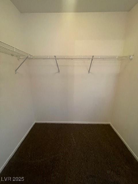 spacious closet featuring carpet