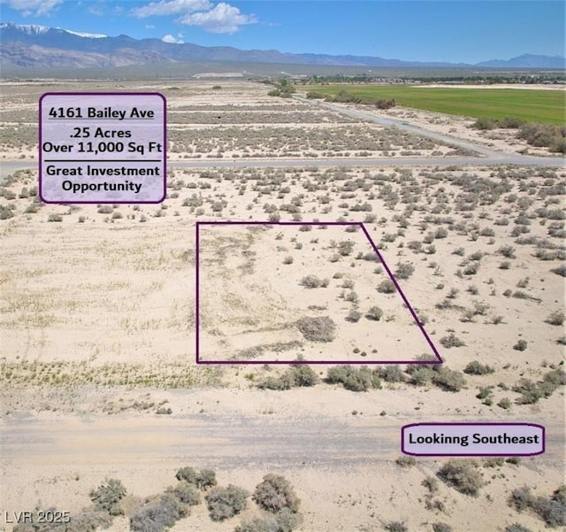 4161 S Bailey Ave, Pahrump NV, 89048 land for sale