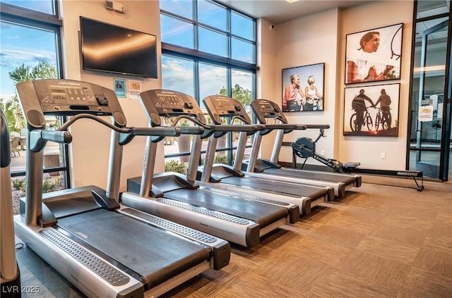 gym featuring expansive windows and carpet