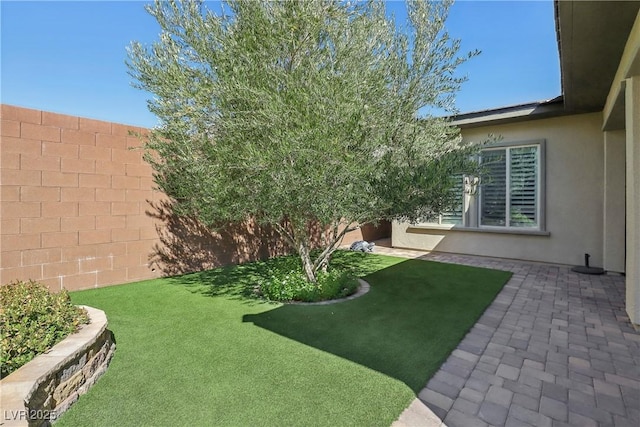 view of yard with a patio area and a fenced backyard