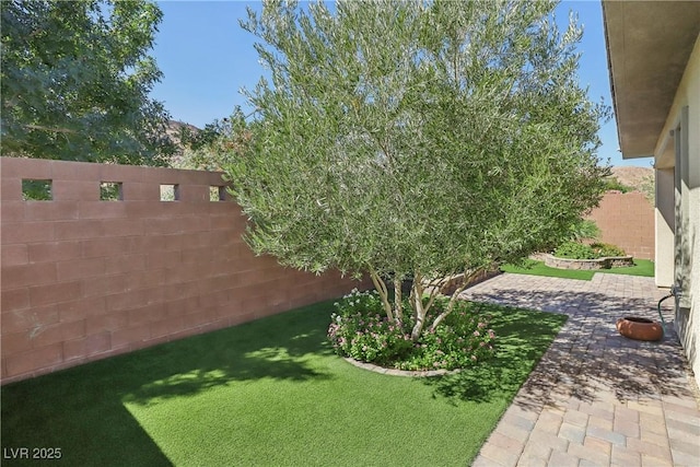 view of yard featuring a patio area and a fenced backyard