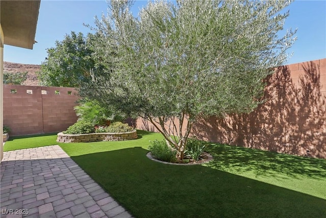 view of yard featuring a patio area and a fenced backyard