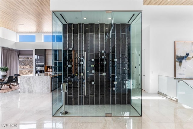 wine cellar with a high ceiling