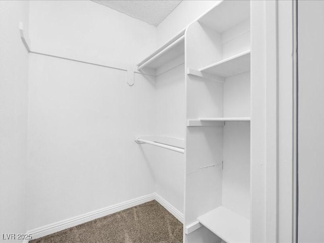 spacious closet with carpet flooring