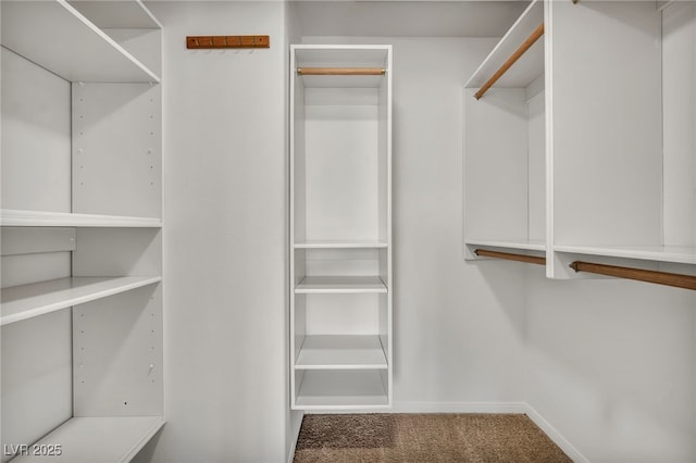 walk in closet with carpet floors