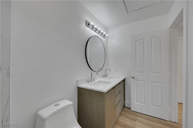 bathroom with vanity, wood-type flooring, and toilet