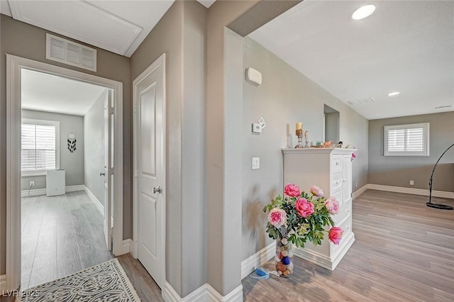 hall featuring light hardwood / wood-style flooring and a healthy amount of sunlight