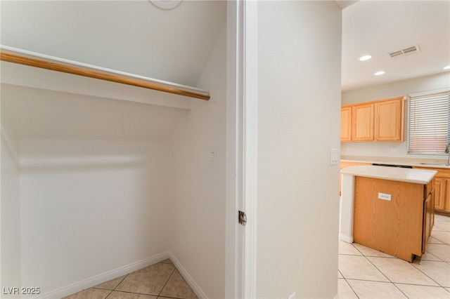 closet featuring sink