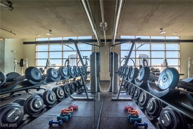 workout area featuring a wealth of natural light