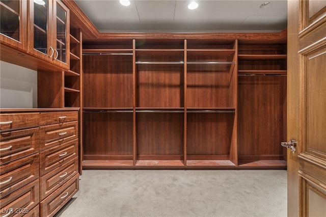 spacious closet with light carpet