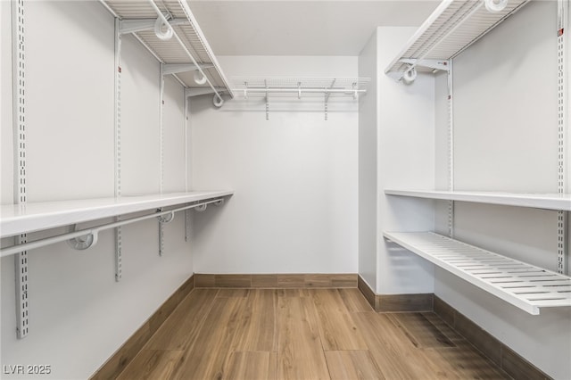 walk in closet featuring light wood-type flooring