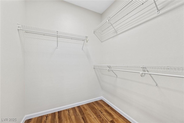 spacious closet featuring hardwood / wood-style flooring