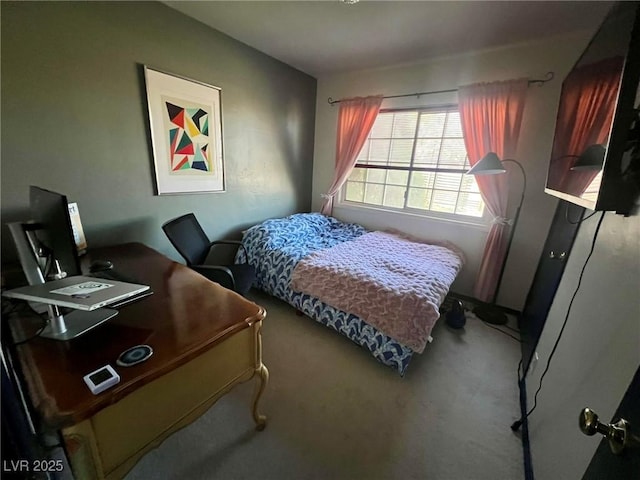 bedroom with carpet