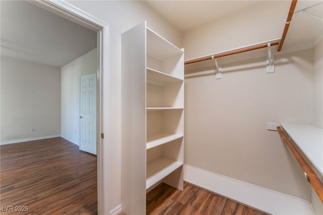 walk in closet featuring dark hardwood / wood-style flooring