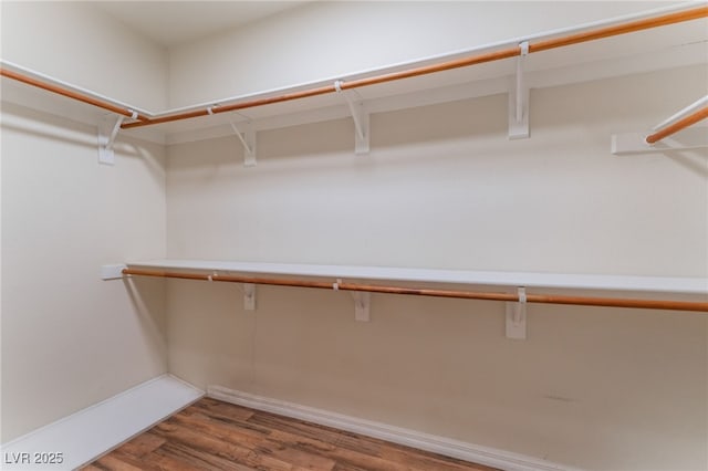 spacious closet featuring hardwood / wood-style floors